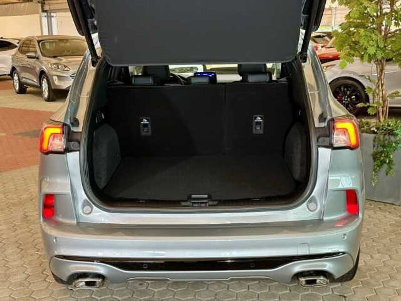 Ford Kuga Vignale+Automatik+Kamera+B&O+Head-Up+Navi