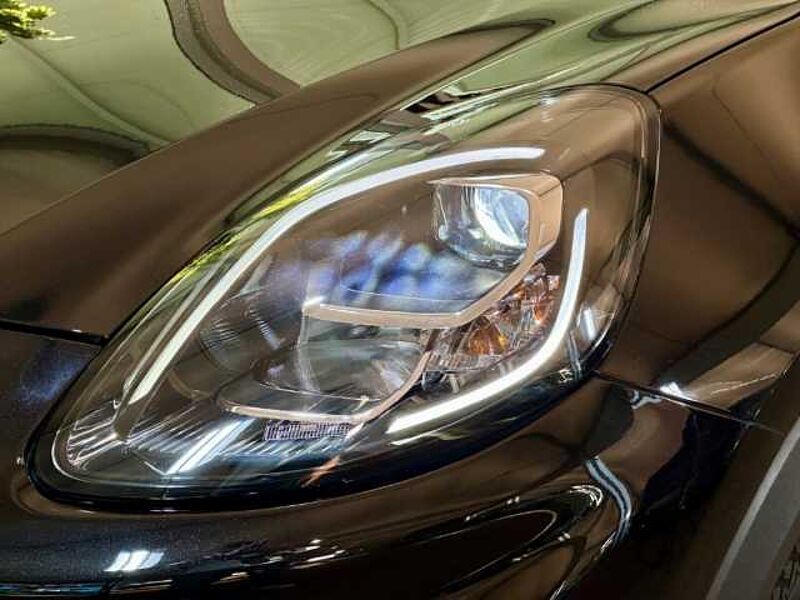 Ford Puma Titanium+Automatik+Kamera+Navi+Winter-P.