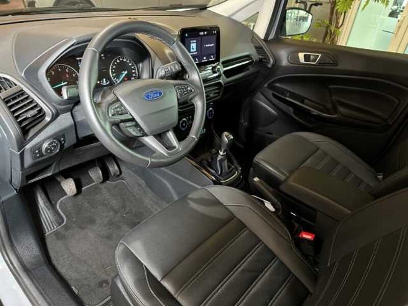 Ford EcoSport Active+Kamera+BLIS+Winter-P. +Tempo