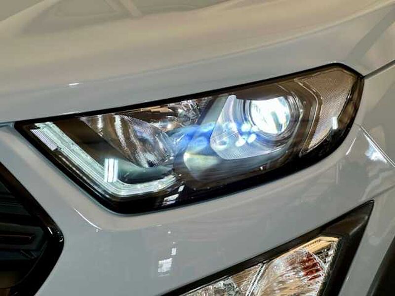 Ford EcoSport Active+Kamera+BLIS+Winter-P. +Tempo
