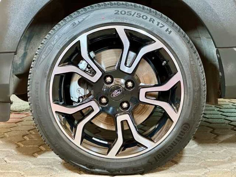 Ford EcoSport Active+Kamera+BLIS+Winter-P. +Tempo