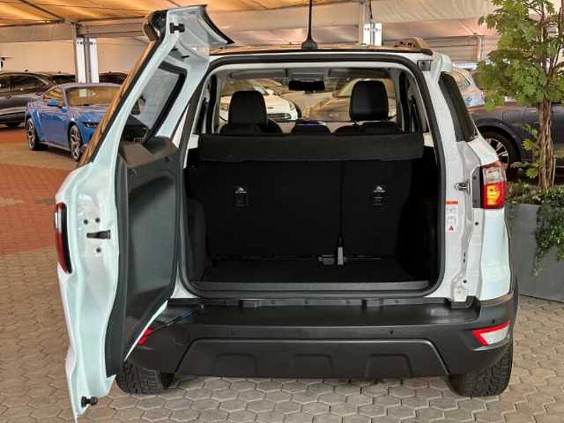 Ford EcoSport Active+Kamera+B&O+Navi+BLIS+Key-Free