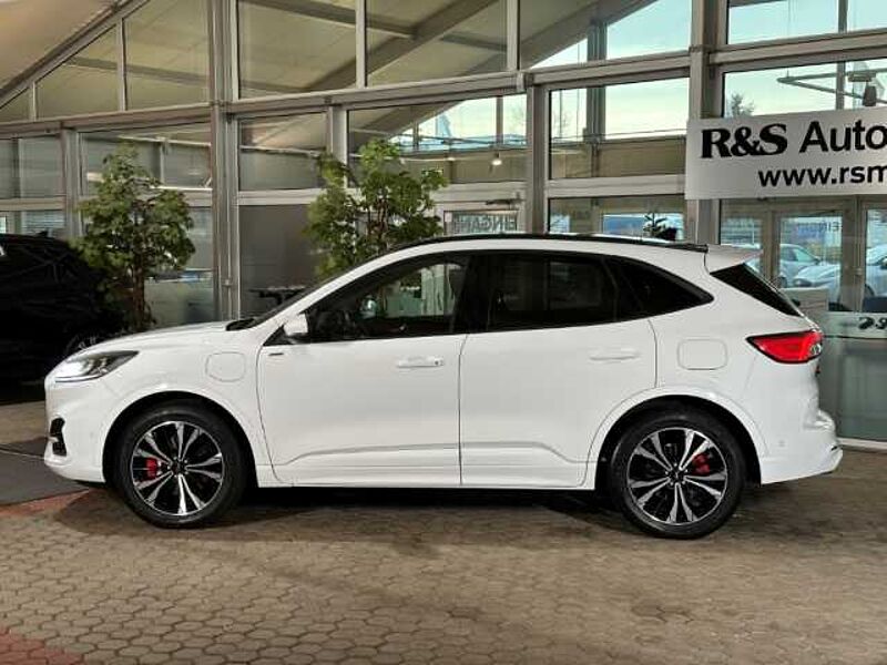 Ford Kuga ST-Line X+AHK+Pano+B&O+Head-Up+Key-Free